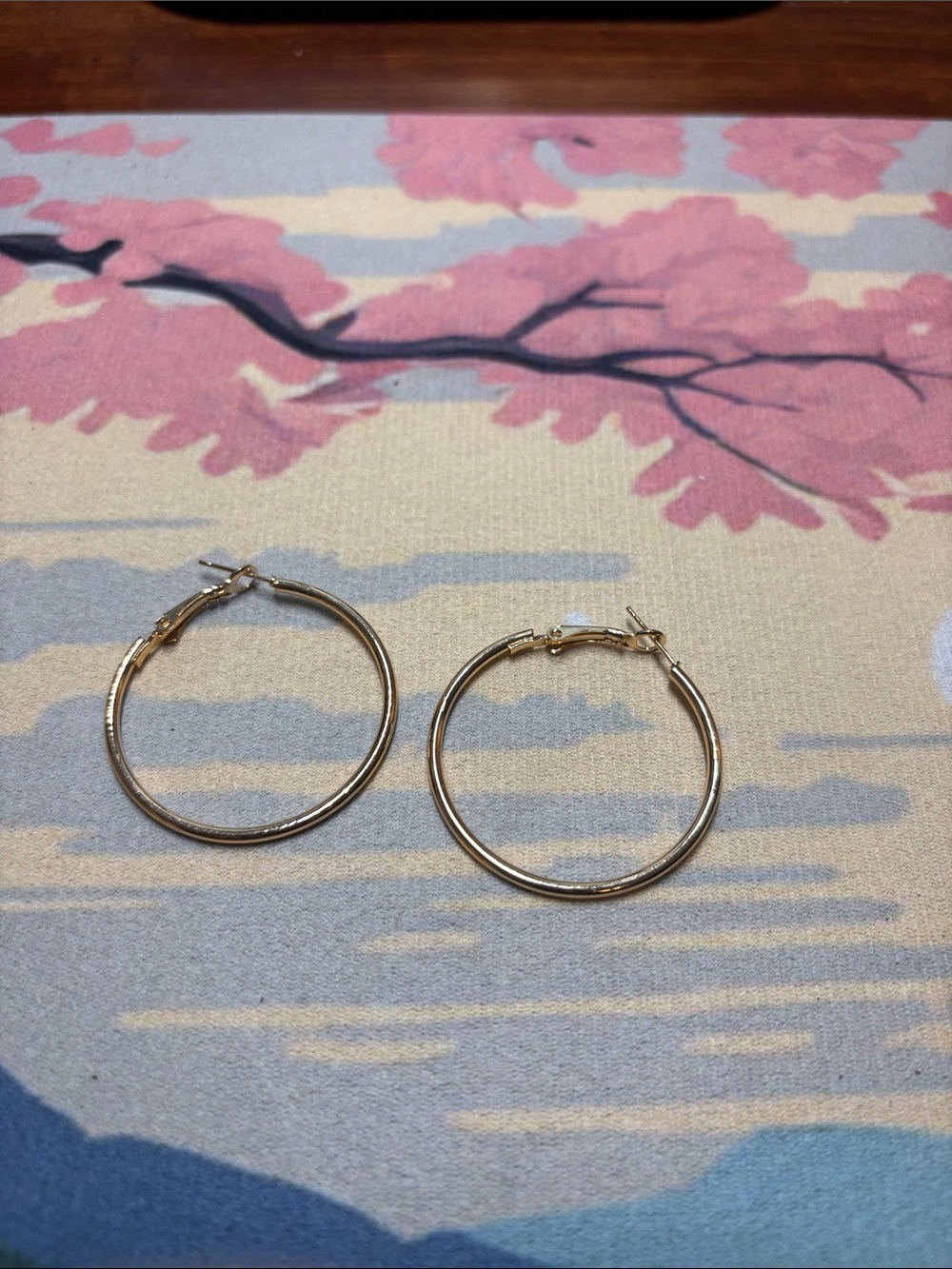 Goldtone hoop leverback  Earrings - Classic Women's Jewelry